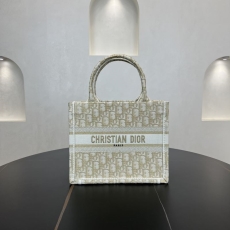 Christian Dior Shopping Bags